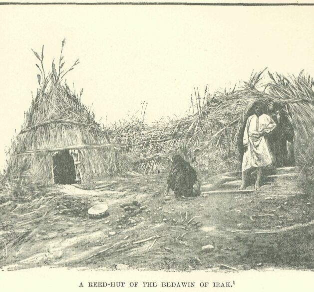 344.jpg a Reed-hut of the Bedawin Of Irak 
